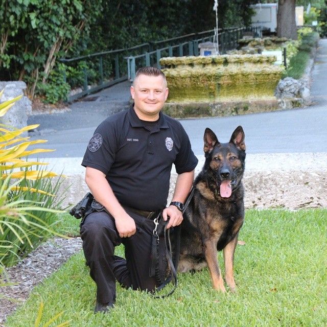 James William - Especialista em comportamento canino